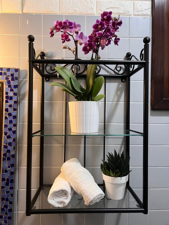 Apartamento Palazzo Malipiero *